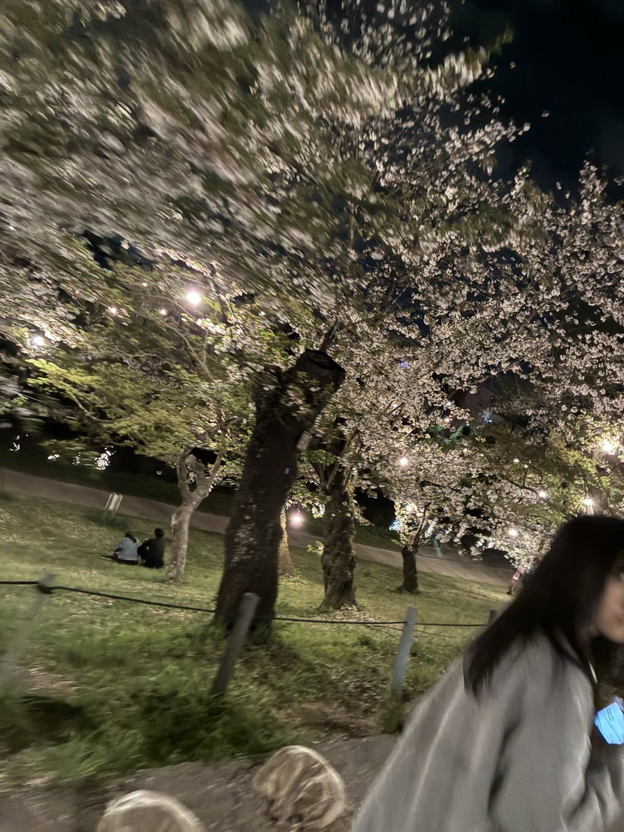 ここあちゃ tweet media