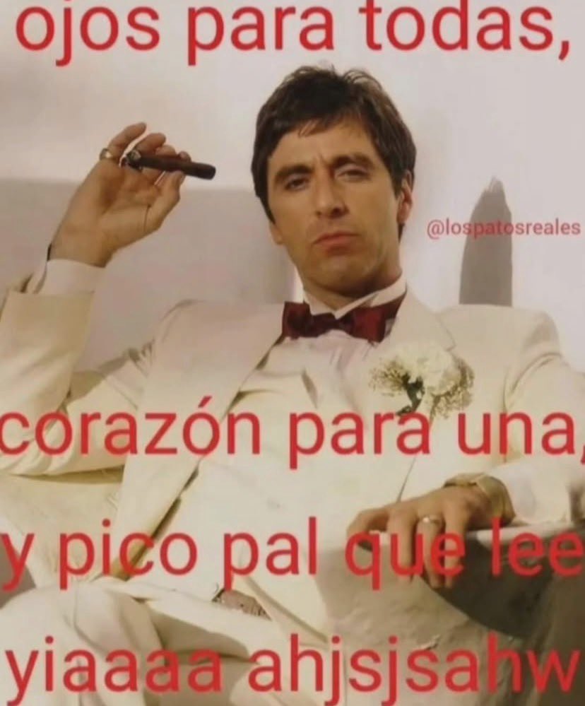 ๐๐๐๐๐๐ถ๐๐น๐ถ tweet media