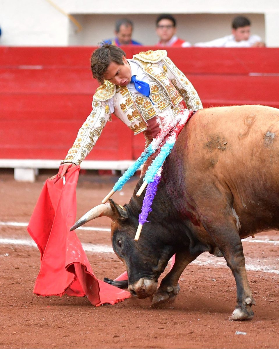 Monumental de Aguascalientes y Plaza San Marcos tweet media