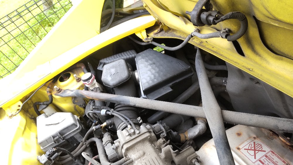 黄色い鈴のスズカさん tweet media