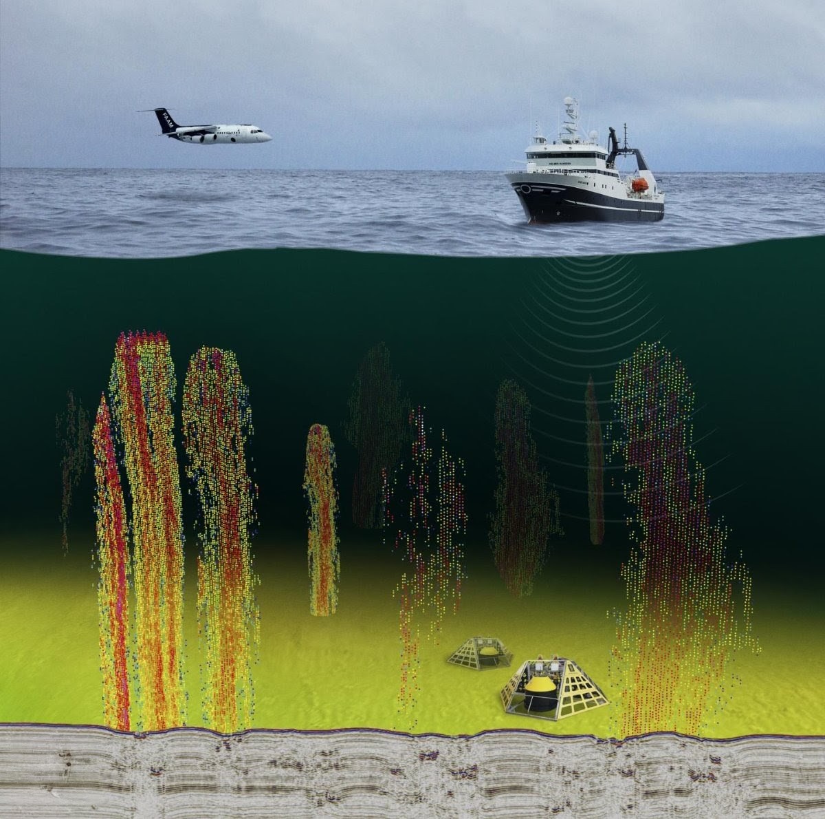 Peter Clack tweet media