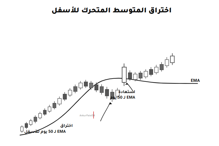 ويكي Wiki tweet media