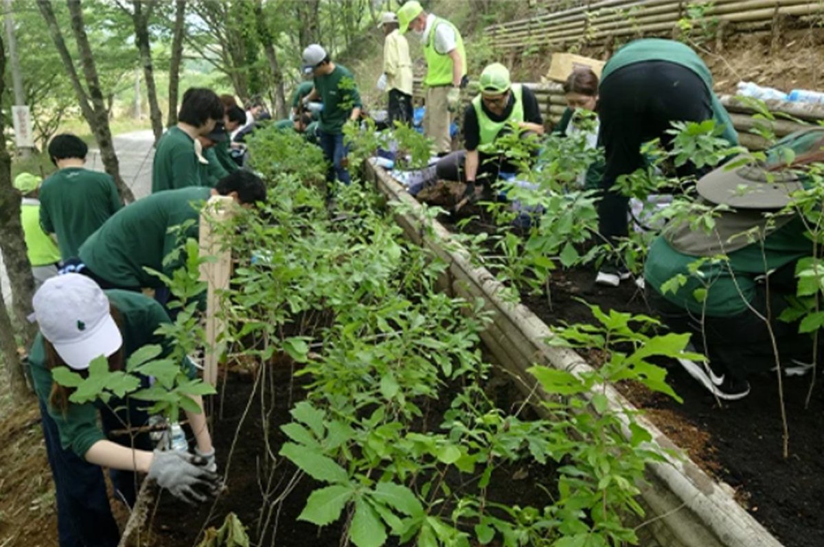 コーセー / KOSÉ Group tweet media