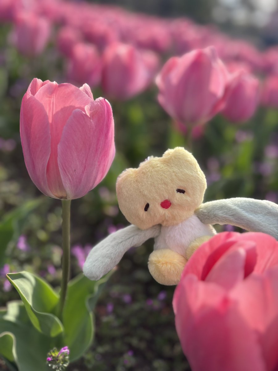 mokachi🐺 tweet media