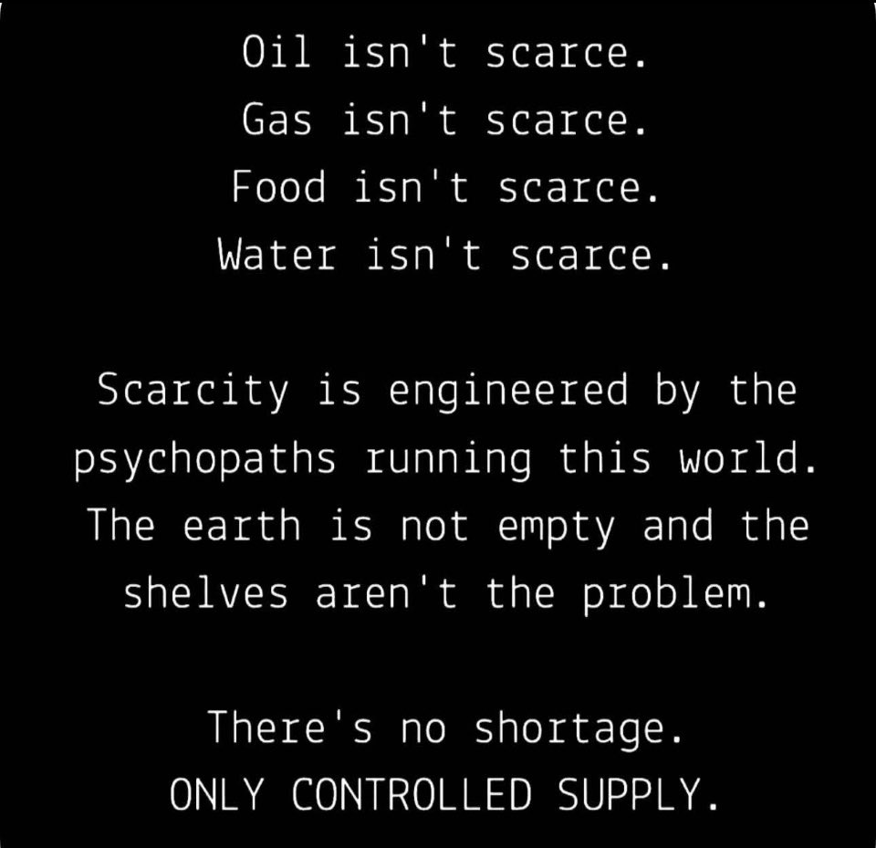 Lozzy B 🇦🇺𝕏 tweet media