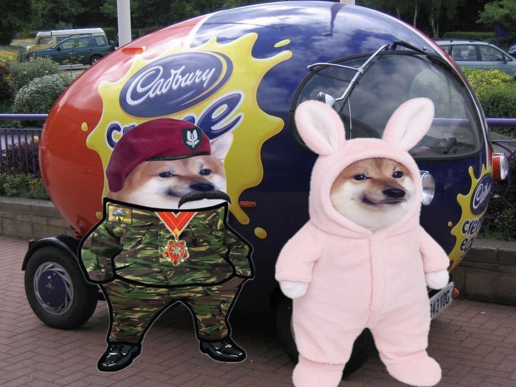 NAFO JOYFUL BASTARD STEVE🇩🇪🇺🇦🇮🇷🇬🇪🇹🇼 tweet media