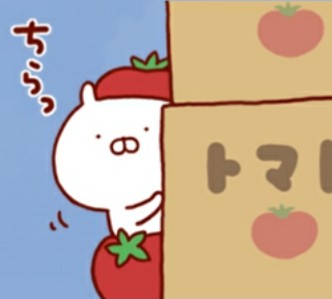 ツダなのだよ tweet media