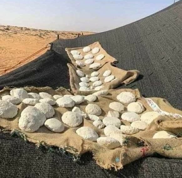 🇸🇩 tweet media