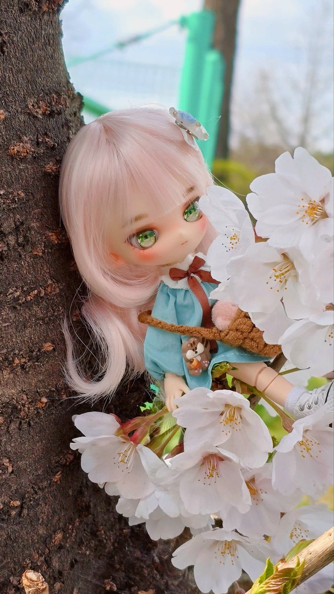 시트러스 tweet media