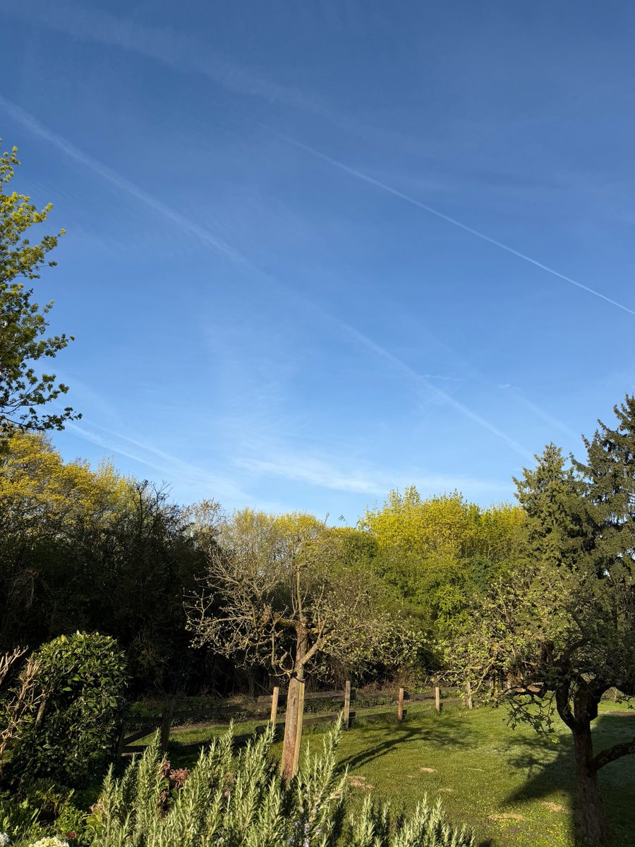 karlchen.trinkt.bier 💙DEUTSCHE FRAU tweet media