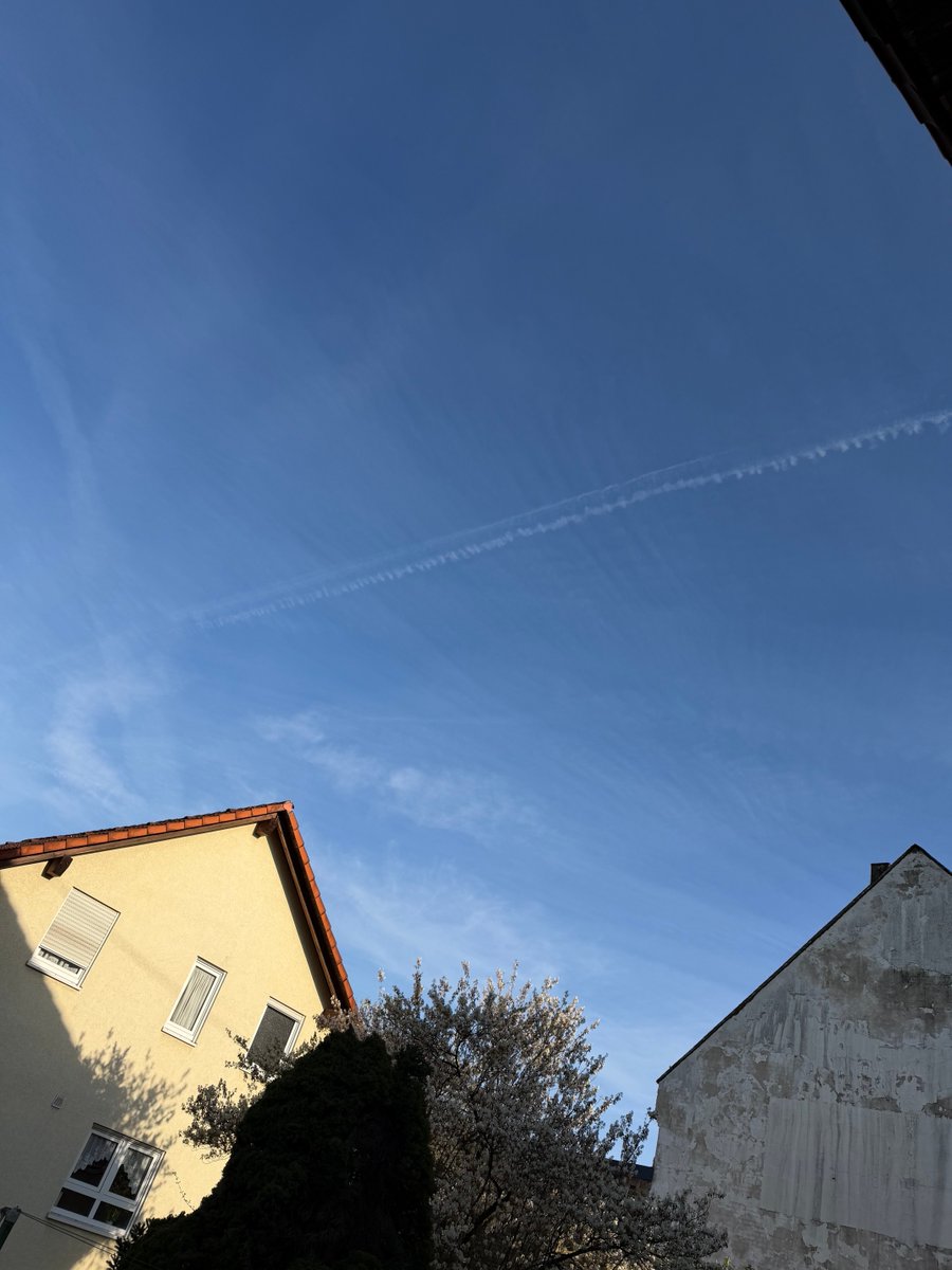 karlchen.trinkt.bier 💙DEUTSCHE FRAU tweet media