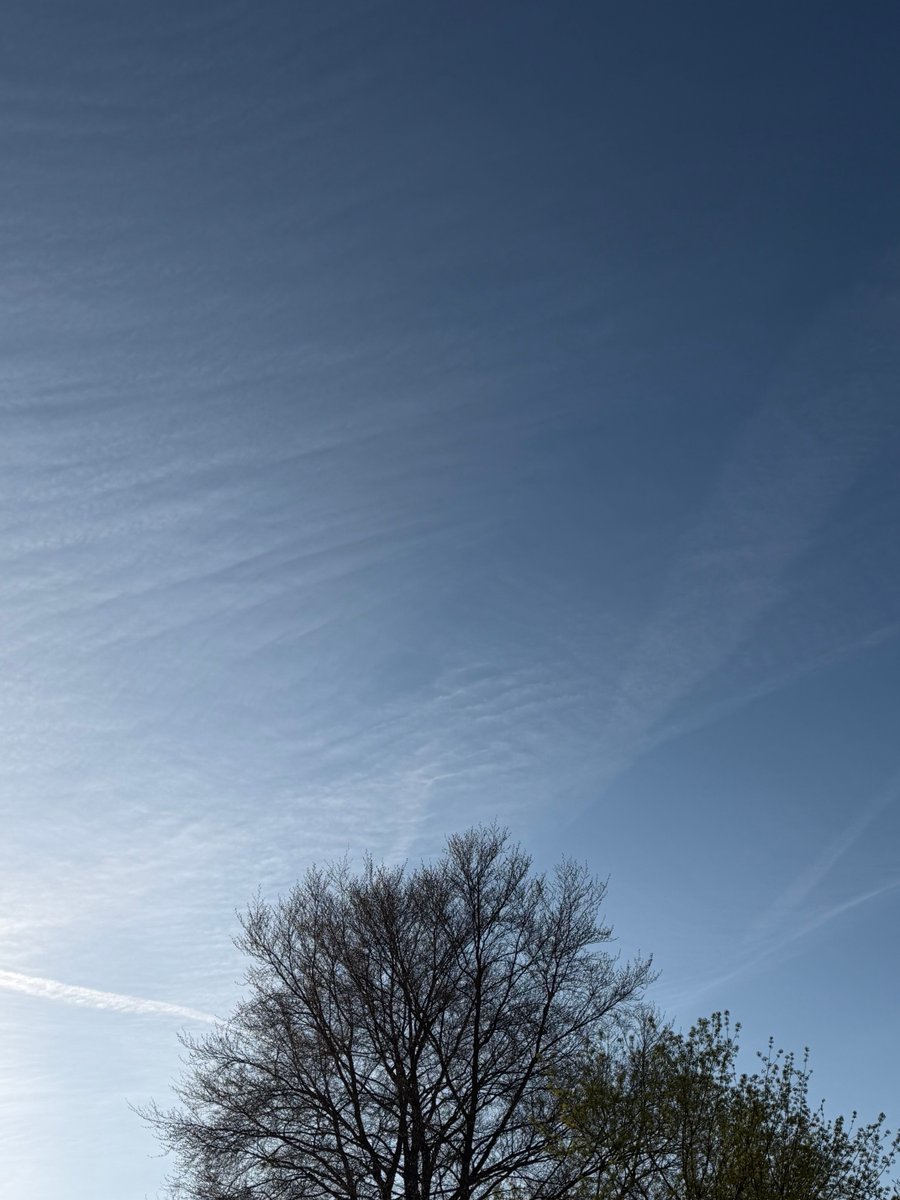 karlchen.trinkt.bier 💙DEUTSCHE FRAU tweet media