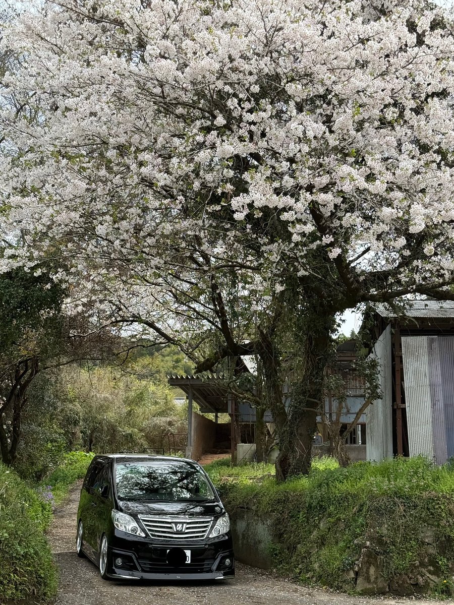 yasu@ジェネティクス社畜改良事業団 tweet media