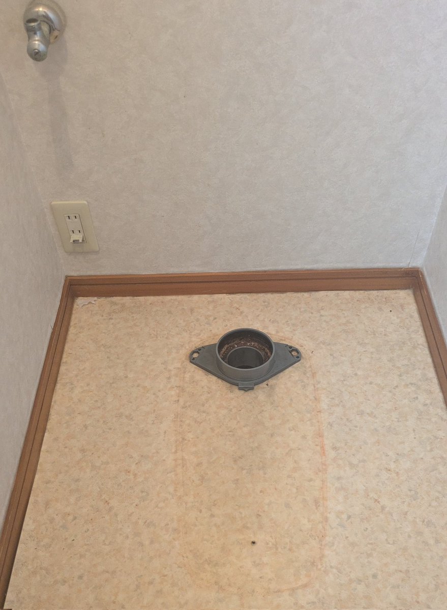 トイレ屋🚽へっちゃん tweet media