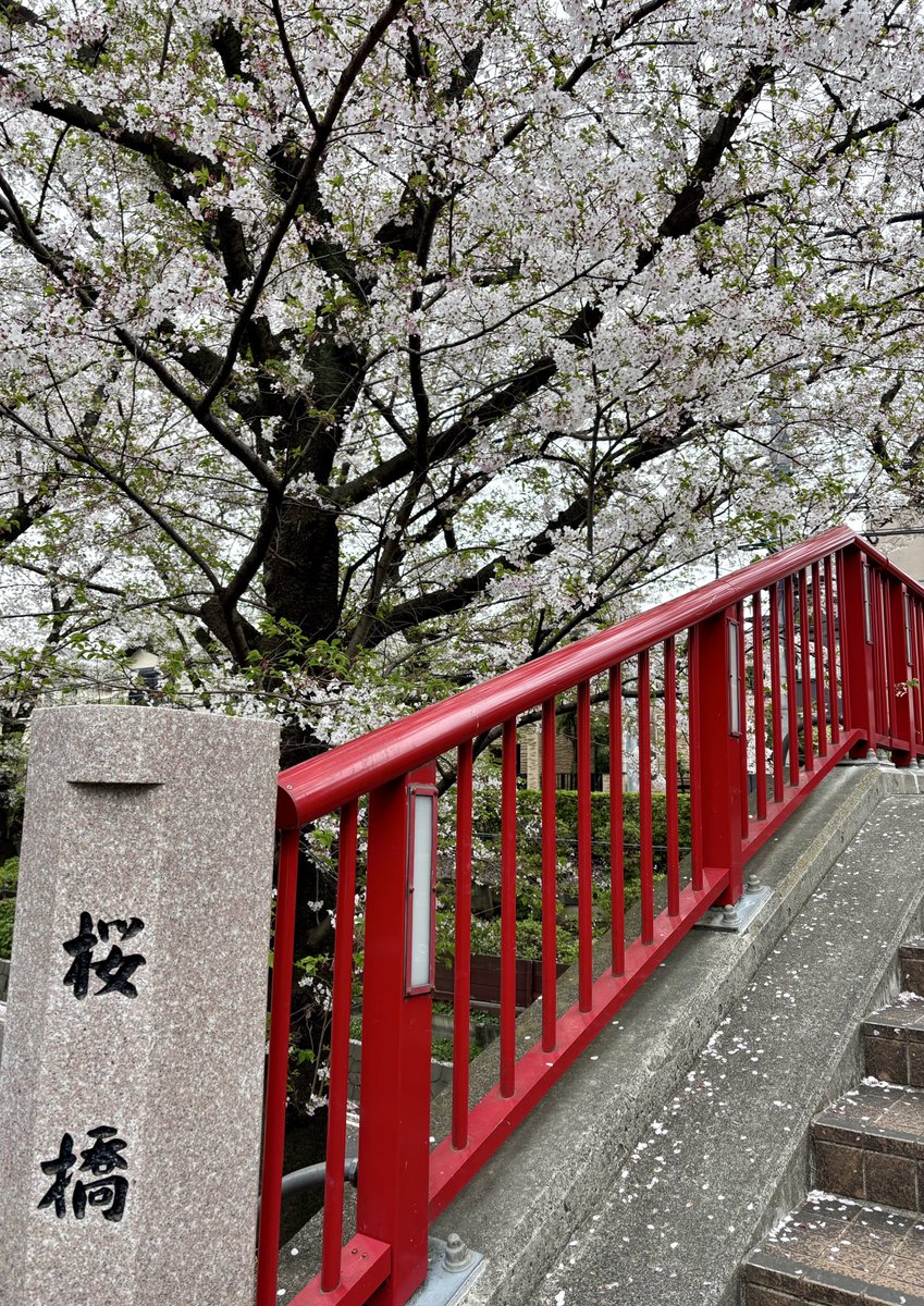 🍊ちゃんなお‎︎🍊 tweet media