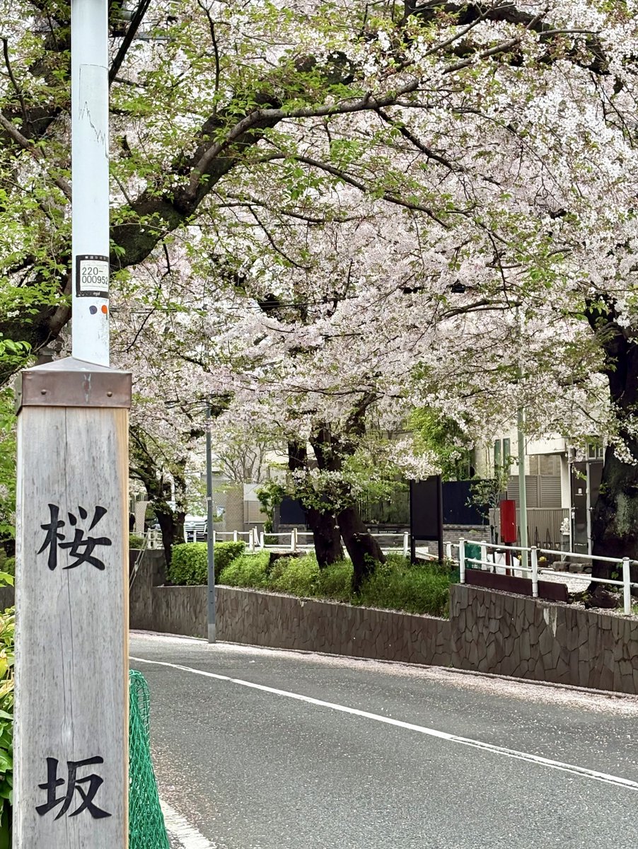 🍊ちゃんなお‎︎🍊 tweet media