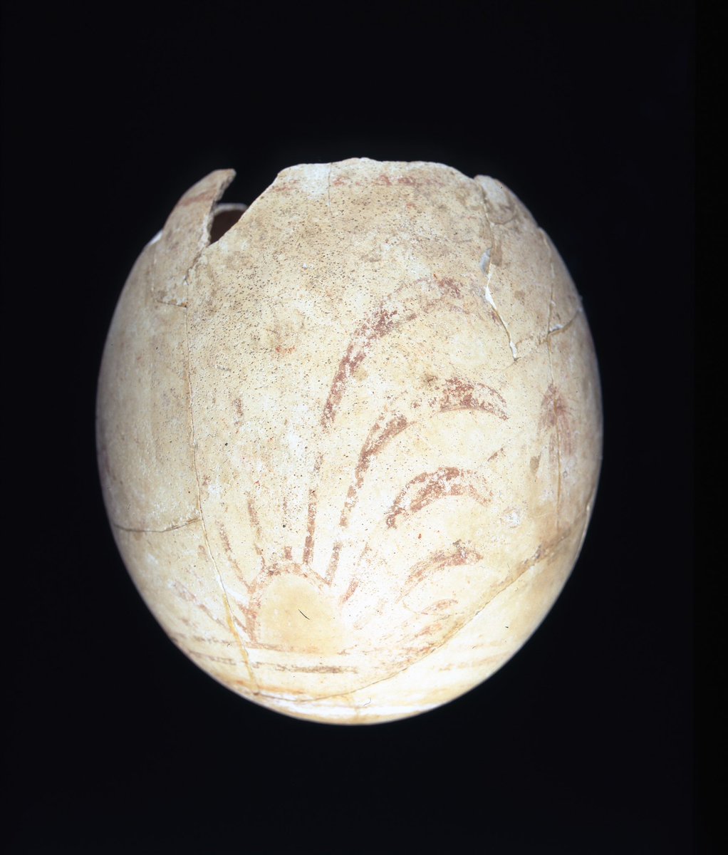 muprevalencia's tweet image. 🙋🏻‍♂️ Bon dilluns de #Pasqua!

Hui toca menjar-se la mona i com que no pot faltar-li l'#Ou, ací teniu un d'allò més especial...

Es tracta d'un ou d'estruç datat al s. V-IV aC, amb decoració pintada de palmetes entre filets, procedent de la necròpolis del #PuigDesMolins #Eivissa 🥚