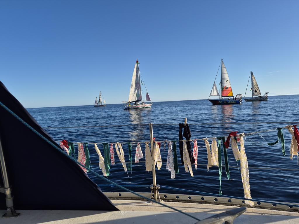 Nicola Lopez tweet media