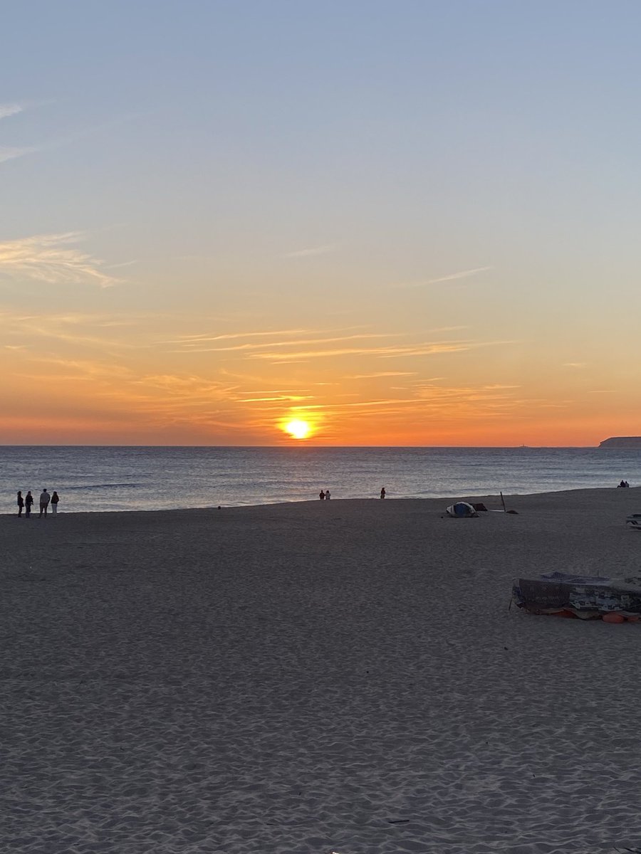 Robin Taylor tweet media