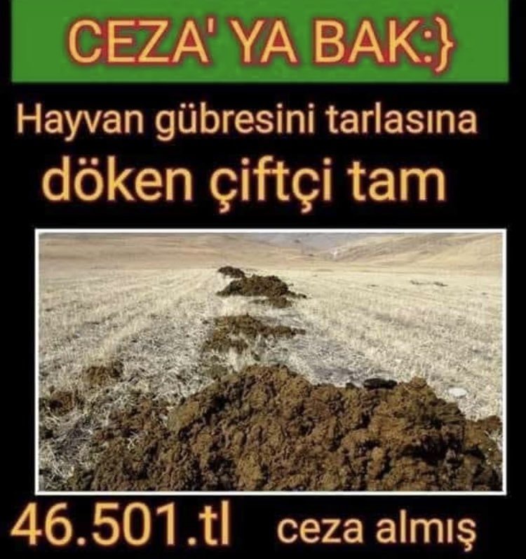 Mehmet Tülüce tweet media