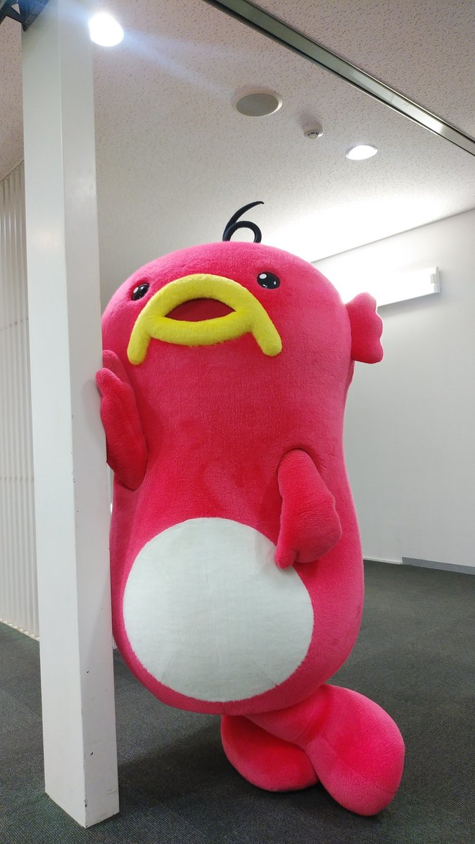 エビシー【公式】 tweet media