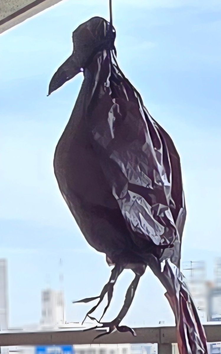 中田文花 tweet media