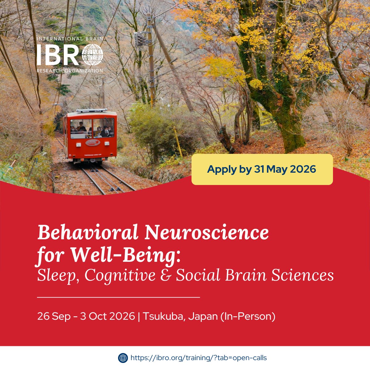 IBROorg's tweet image. New #training opportunity for Asia-Pacific applicants! Join this in-person training in Japan focused on behavioral neuroscience for well-being, covering key themes: sleep, cognition &amp;amp; the social brain

🗓 Apply by 31 May: ibro.org/training-oppor… 

#IBROinAsiaPacific @Kavita_Babu_