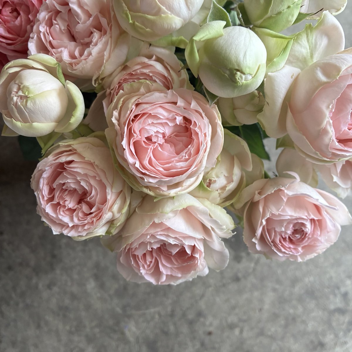 d`ici peu tweet media