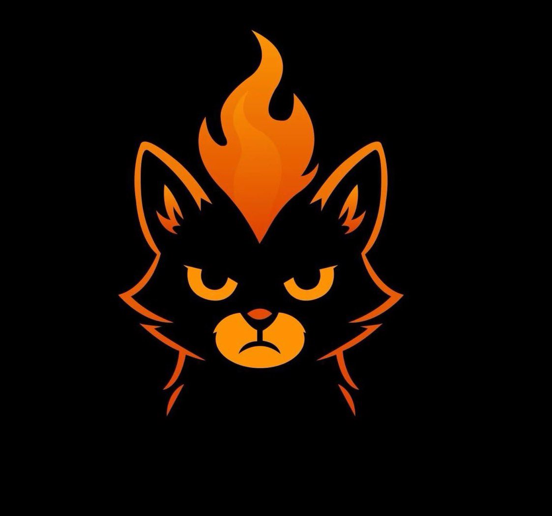 BricePol - $Burn 🔥 tweet media