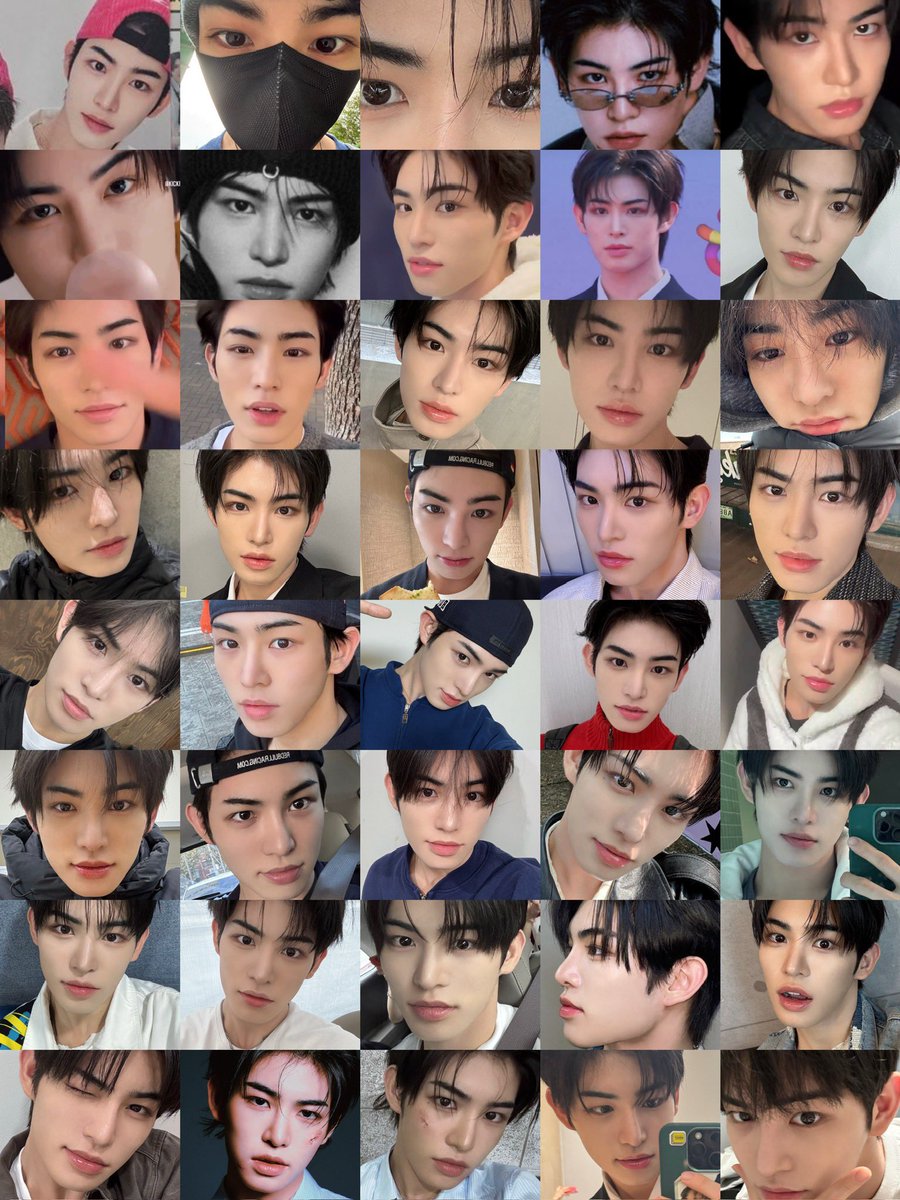 mincil 🐋🤎 tweet media