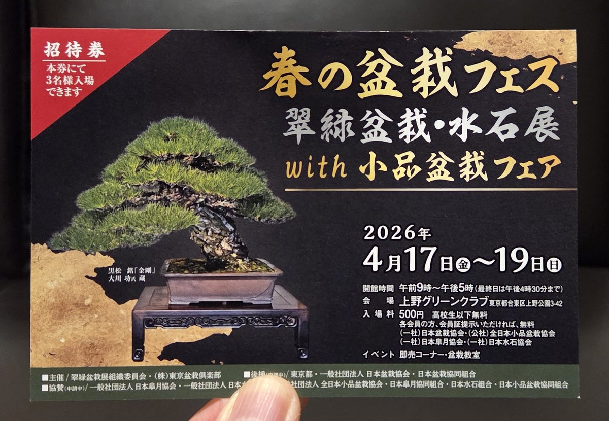 kakun22172217's tweet image. 草木の祭典の余韻も冷めやらぬ中、5/4大宮盆クラ市への準備などでワタワタしている日々では有りますが、春の良き日上野不忍池のほとりを訪ねようかと思う月曜日の午後🍵

どうやら皆様は4/19㈰9時少し前に上野グリーンクラブの前に佇むペロの姿を見る事になりそうです🐕

#春の盆栽フェア
#UGC