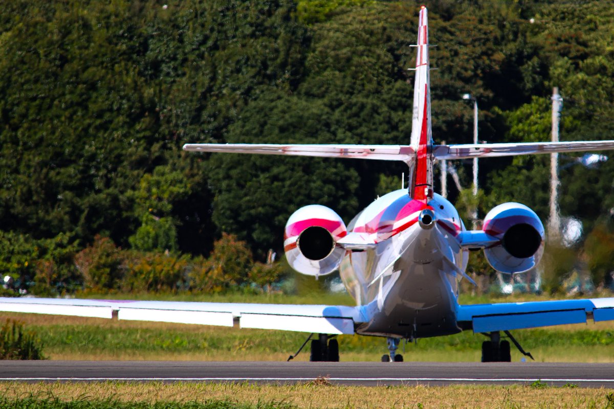 しまかぜ tweet media