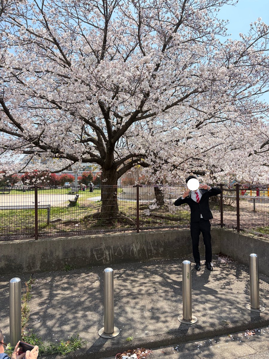 学校の近くの桜が、今ちょうど見頃を迎えています🌸
綺麗な花を見ると、新しい季節が始まったな〜って気が引き締まりますね。 
皆さんも登校中にぜひ、少し足を止めて眺めてみてくださいね。📸✨
#和歌山コンピュータビジネス専門学校 #桜 #和歌山