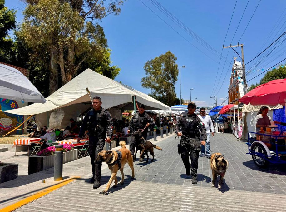 MÁS NOTICIAS tweet media