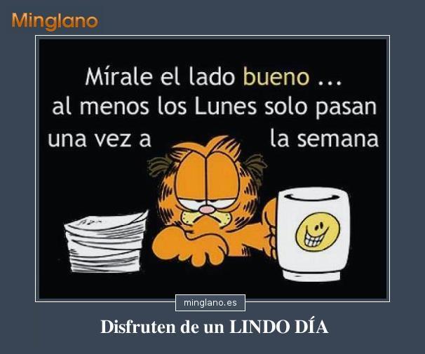 JAVIER CASTRO tweet media