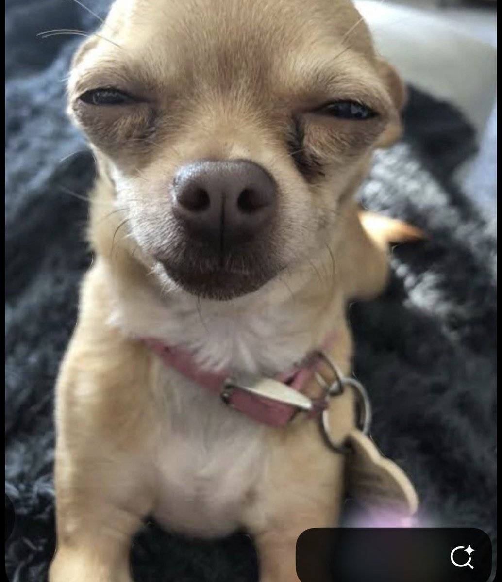 Moná Letman tweet media