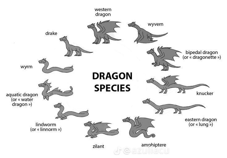 The richest guy tweet media