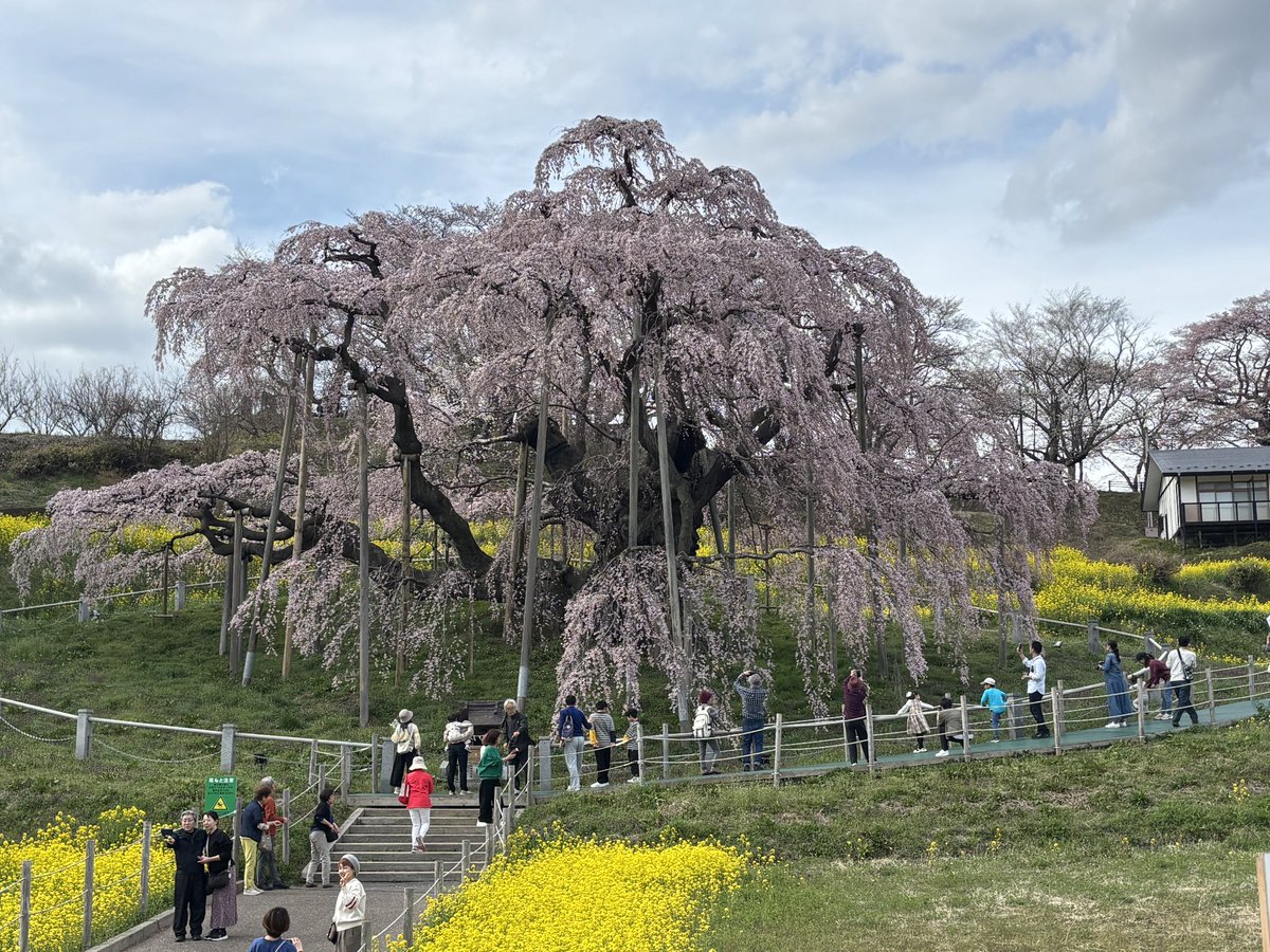 カネキ tweet media