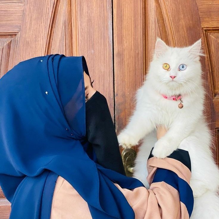 Nida Fatima tweet media