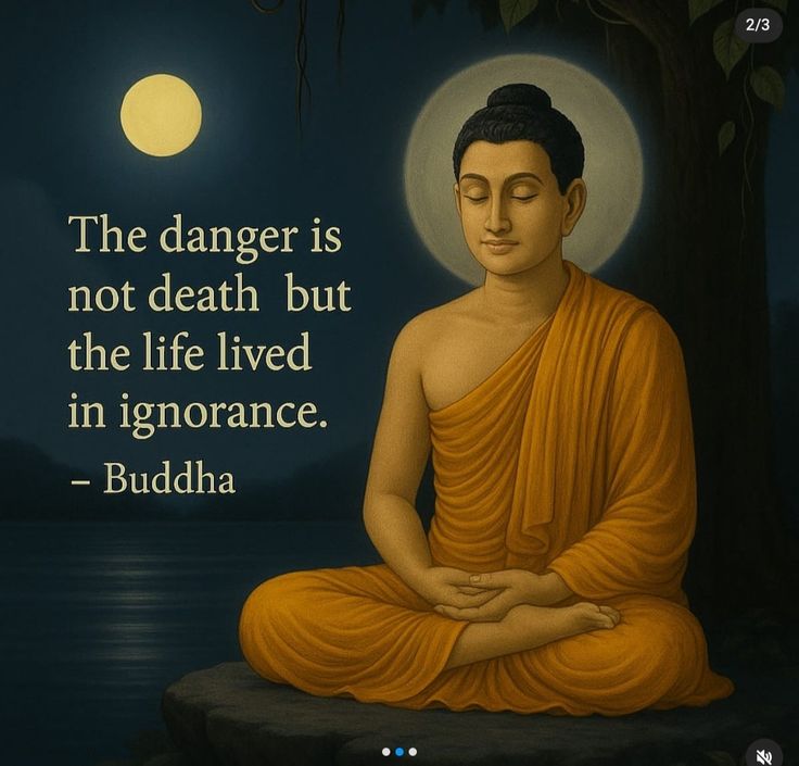 Tao Guru tweet media