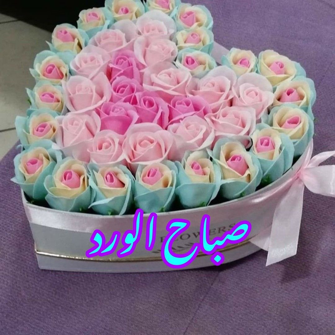 د.حسام الجوهرى tweet media