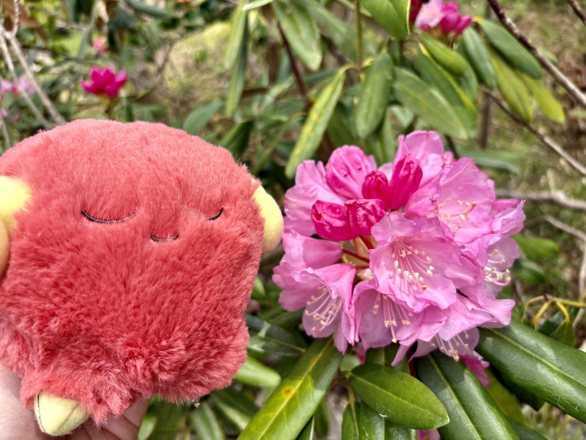 みきひさ tweet media