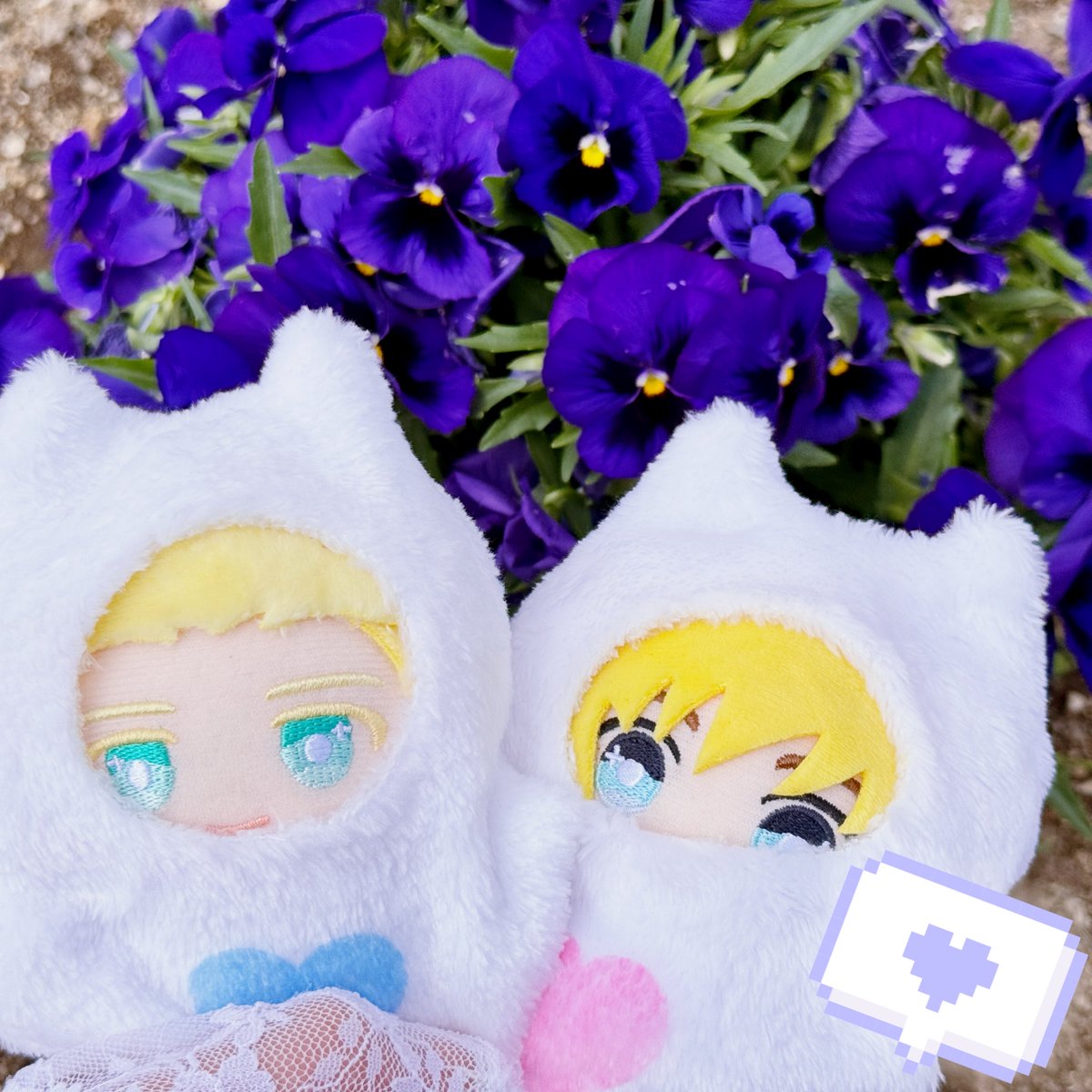 yanagi🌱🍩 tweet media