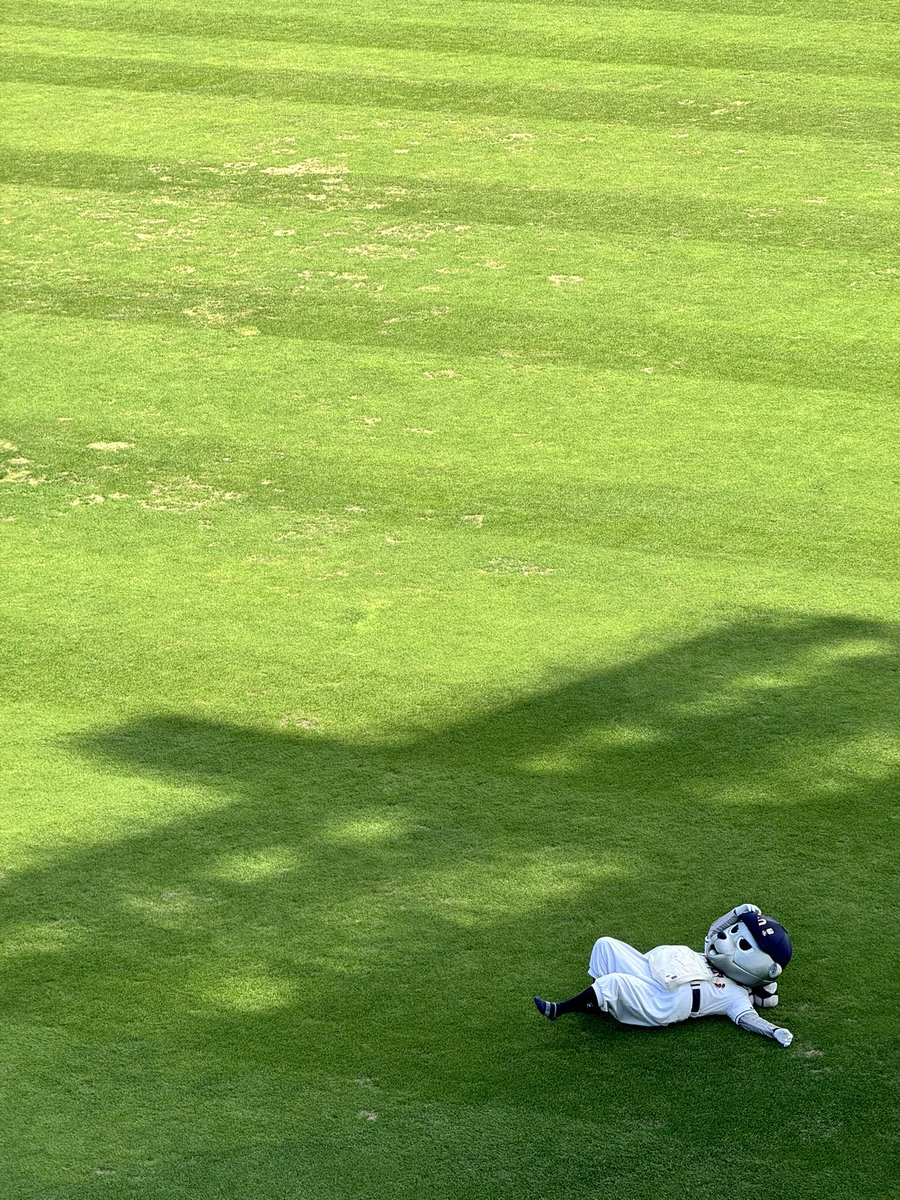 박박디라라 tweet media