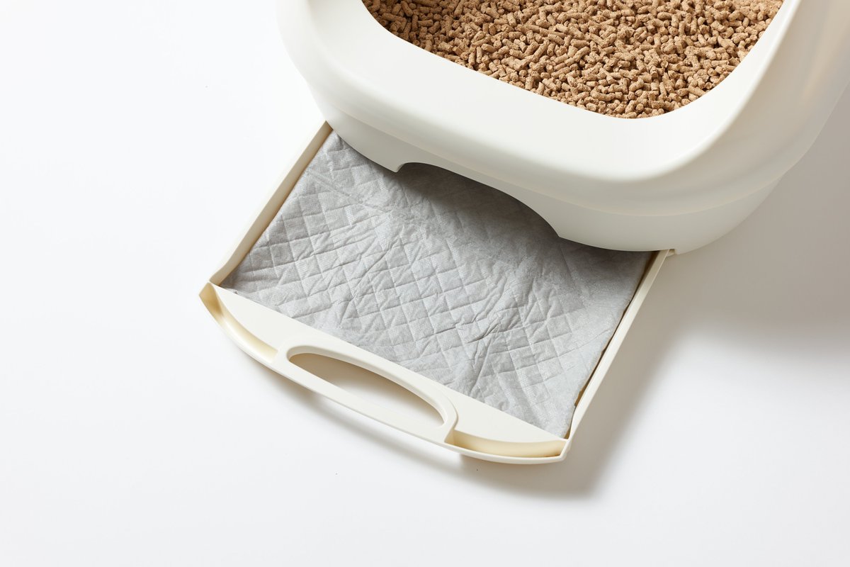 KochoUsa's tweet image. The KOCHO difference lies in quiet details, natural materials, thoughtful design and products that fit seamlessly into everyday life.

#KOCHO #PetLifestyle #MindfulLiving #PetCare #CleanHome