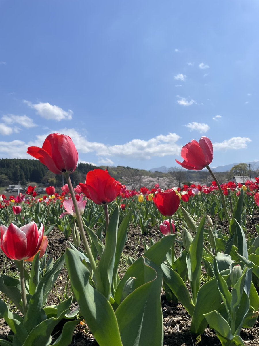 ジャック船長1127 (@Virtues1127) / Posts / X