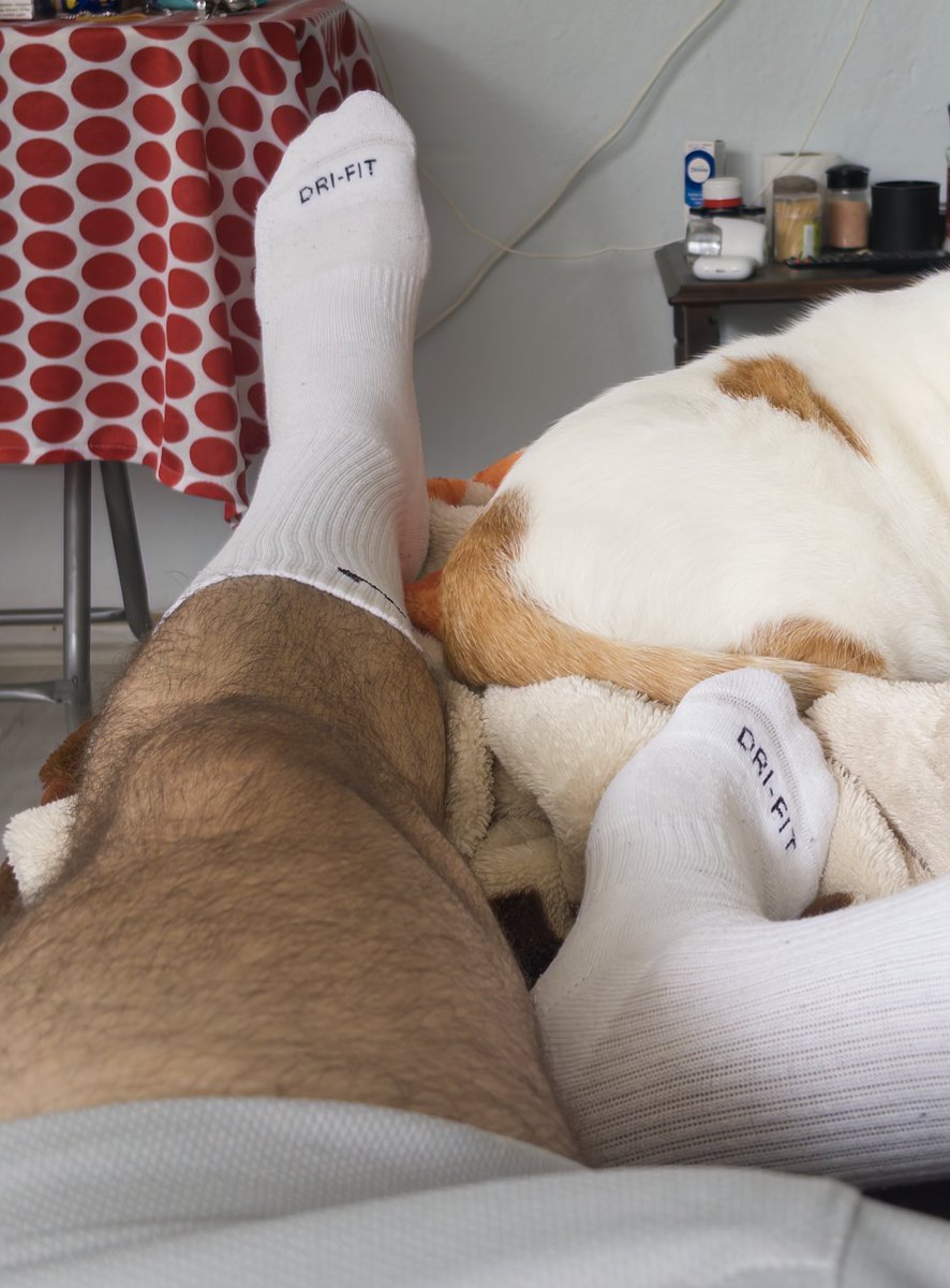 STAR BABY 🇦🇪🇦🇪🇦🇪 tweet media