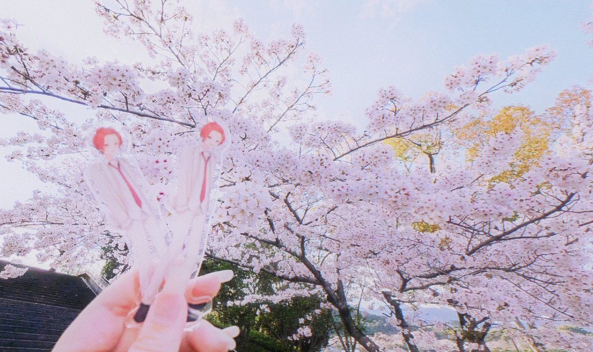 🐤学園祭狂のれんちゅ🦁 tweet media