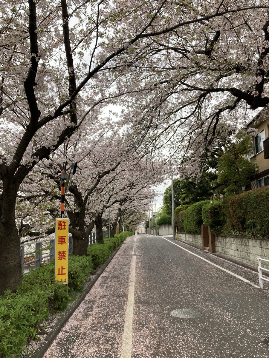 好きな散歩コース(昼)
