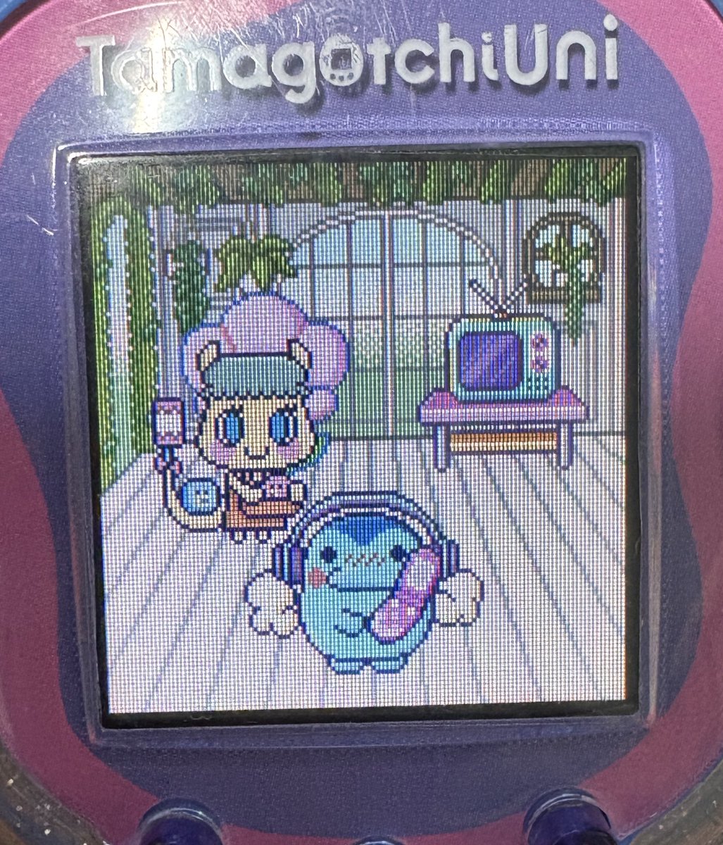 수명짱아찌 tweet media